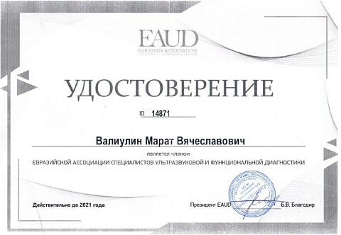 Сертификат 2