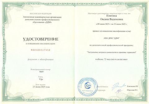 Плитина